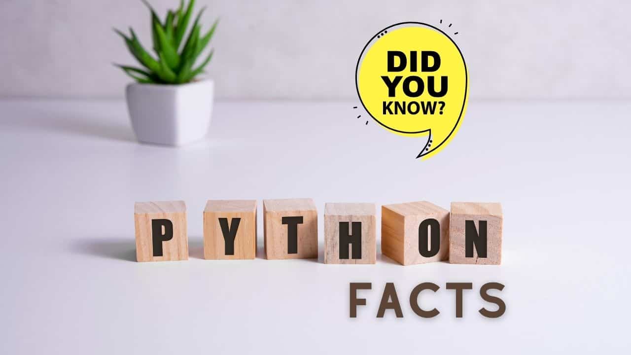 Some Captivating Facts About Python Language - Techies Talk